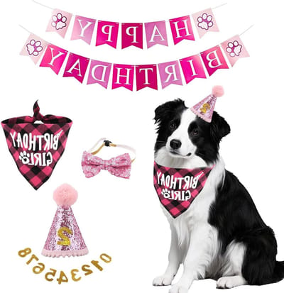 SnelShoppen - Dog Birthday Hat en Bandana Set, 5 Stuks voor Honden, Verjaardag Decoratie met Bling Nummers en Happy Birthday Banner, Geschikt voor Kle