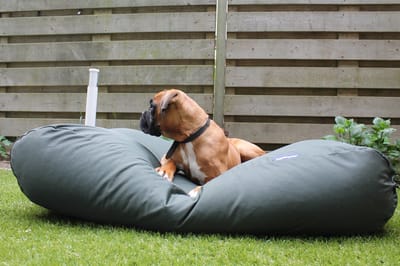 Dog's Companion Hondenkussen / Hondenbed - S - 70 x 50 cm - Hunting Water- en Vuilafstotende Coating - Waterafstotend