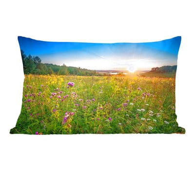 Sierkussens - Kussentjes Woonkamer - 50x30 cm - Zon - Gras - Bloemen