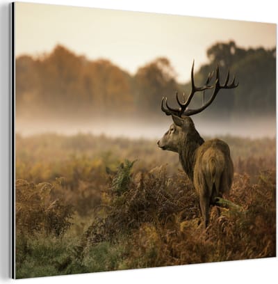 Aluminium schilderij 80x60 cm - Wanddecoratie metaal - Hert - Mist - Herfst - Metalen muurdecoratie woonkamer - Decoratie industrieel - Foto op dibond - Industriële accessoires slaapkamer