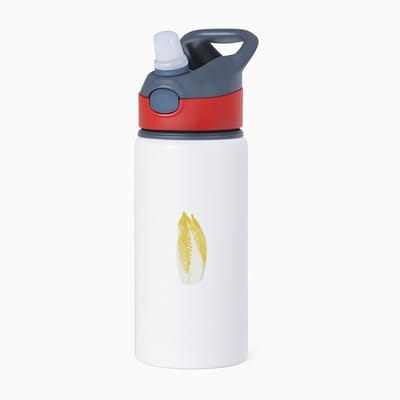 Hacebo® - Witlof waterfles met rietje rood - Eten & drinken - junkfood - Liefhebbers van groente en fruit - Groente - gezond eten - eten - water fles - 650ML