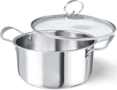 Inductie Kookpan 20 cm met Glazen Deksel - 3 Liter - Roestvrij Staal