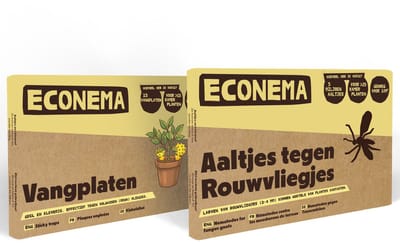 Voordeelpakket - Aaltjes tegen Rouwvliegjes 10m2 + 10 vangplakkers - bestrijd de larven en de vliegjes - Bestrijdingspakket tegen rouwvliegjes