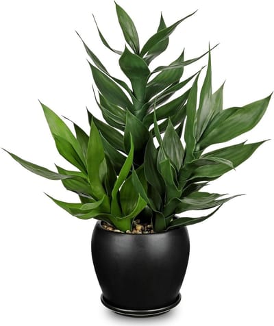 Kunststof Bambooplanten 50 cm Hoog - Nepplant voor Geluk in Zwarte Pot - Decoratieve Groene Planten voor Thuis, Kantoor en Badkamer Decoratie