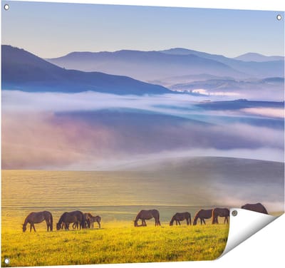 Gards Tuinposter Kudde Wilde Paarden in de Wei bij Heuvels - 100x80 cm - Tuindoek - Tuindecoratie - Wanddecoratie buiten - Tuinschilderij