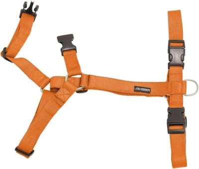 Harnas Hond - Borsttuig Hond - Veilig Wandelen - Verstelbaar Nylon - 46-65 cm - Oranje