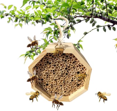 Bijenhotel - Bijenhotel met Observatievenster - Houten Bijenhuis voor Wilde Bijen en Vlinders - Insectenhotel voor Tuin en Balkon