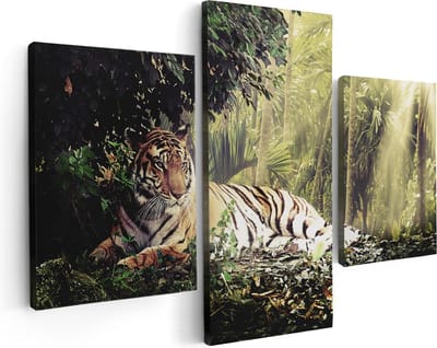 Artaza Canvas Schilderij Drieluik Tijger In De Jungle Met Zonneschijn - 90x60 - Foto Op Canvas - Canvas Print