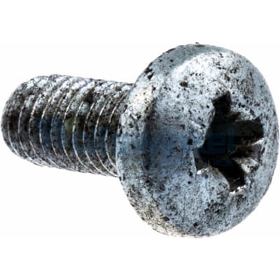 Screw