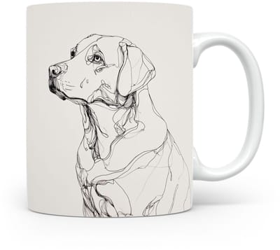 Beker Labrador Retriever