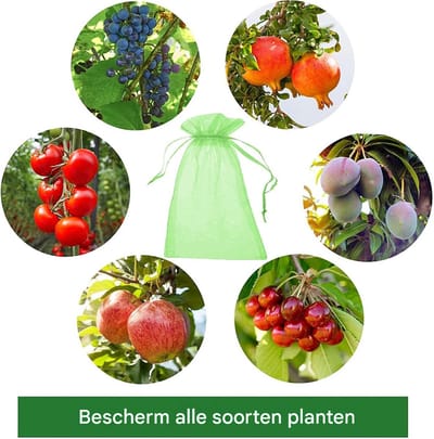 QTTVBTNA – 100 stuks Organza Zakjes - Fruithoes – Beschermzakjes – fruitbeschermingszakjes – Netzakken – fruitnetten met trekkoord – herbruikbare netzakjes Voor planten, fruitbloemen, groenten, Snoep, Sieraden en Cadeau – 13x18 cm - Groen