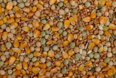 Uniestar Excellent Kweek/Vlieg 20 kg