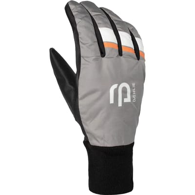 Skihandschoenen Daehlie Sportswear Motion