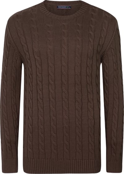 Felix Hardy Gebreide Trui - Sweater Heren Braun - 2Xl