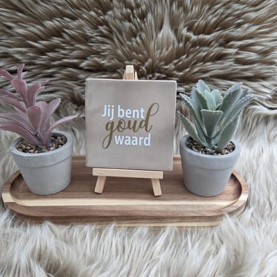 Robuust Wenstegeltje "Jij Bent Goud Waard" – Hip trendy tegeltje – Lief Cadeau voor Vriendin, Collega of Juf – Stijlvolle Woondecoratie met Boodschap – Trendy nu – Decoratief Tegeltje met Standaard – Cadeau Idee