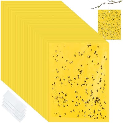 Dailygoods - Gele Stickers voor Rouwmuggen Bestrijden - 50 Stuks Vliegenval voor Binnen en Buiten