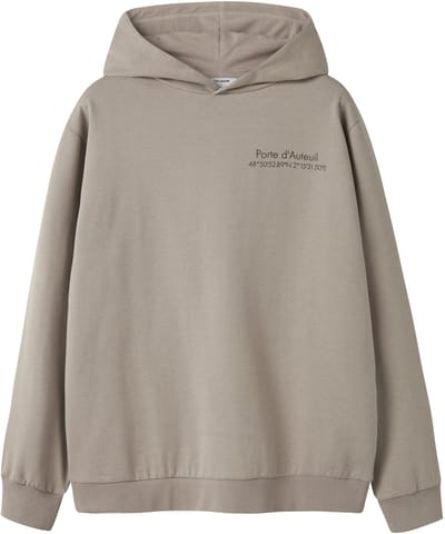 NAME IT - TAMCOX LS HOOD LOGO SWEAT BRU NOOS - Heren - Sweaters