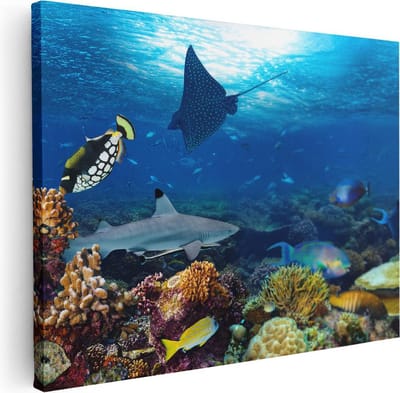 Artaza Canvas Schilderij Tropische Vissen - 40x30 cm - Klein - Wanddecoratie Koraalrif - Muurdecoratie Zeeschildpad - Kamer Accessoires Onderwaterwereld