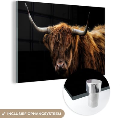 Glasschilderij Schotse Hooglander - Horens - Zwart - Dieren - Koe - Woonkamer - 150x100 cm - Foto op glas - Wanddecoratie glas - Kamer decoratie - Glasplaat - Muurdecoratie