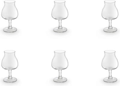 Royal Leerdam Specials Bierglas 250 ml - 6 stuks