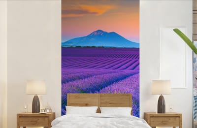 Behang - Fotobehang Lavendel - Paars - Bloemen - Breedte 120 cm x hoogte 240 cm