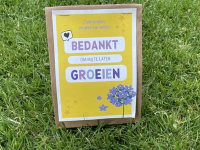 Paper Art Cards - zadenpakket vergeet-me-nietjes bedankt om mij te laten groeien - juf meester cadeau - bedankje