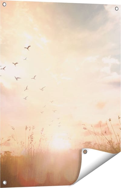 Gards Tuinposter Silhouet Vogels tijdens Zonsopkomst - 60x80 cm - Tuindoek - Tuindecoratie - Wanddecoratie buiten - Tuinschilderij