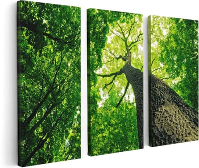 Artaza Canvas Schilderij Drieluik Boom In Het Bos Met Fel Groene Bladeren - 120x80 - Foto Op Canvas - Canvas Print