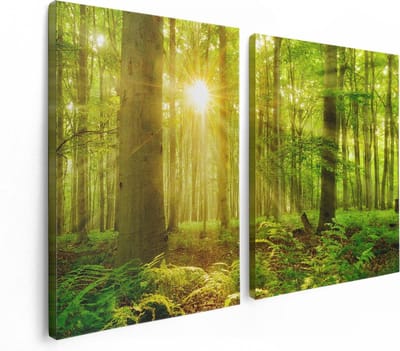 Artaza Canvas Schilderij Tweeluik Groen Bos Met Schijnende Zonnestralen - 120x80 - Foto Op Canvas - Canvas Print