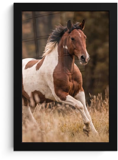 Poster in lijst - Fotolijst 20x30 cm - Posters - Paard - Bruin - Gras - Posterlijst zwart - Decoratie - Wanddecoratie woonkamer - Muurdecoratie slaapkamer