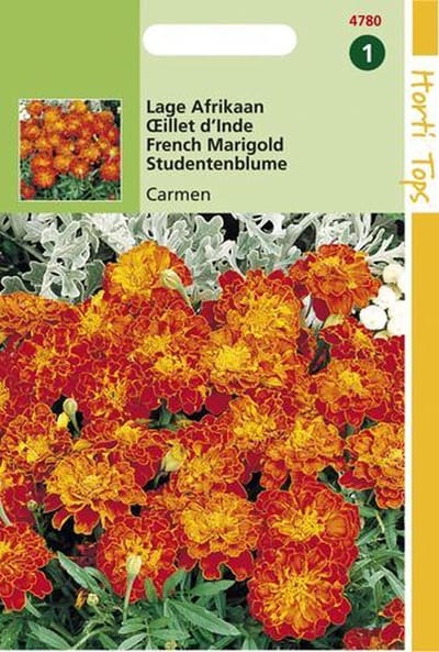 Hortitops Zaden - Tagetes Patula Nana Carmen