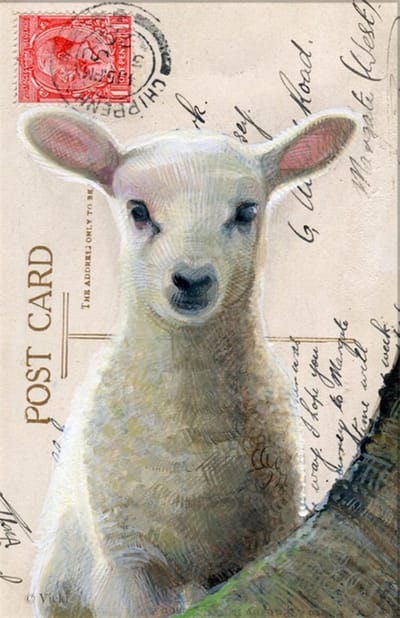 Dubbele kaart met env. Lammetje wit 11,5x17,5cm