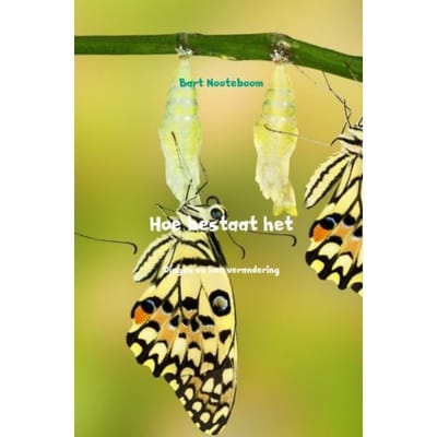 Hoe Bestaat Het - Bart Nooteboom