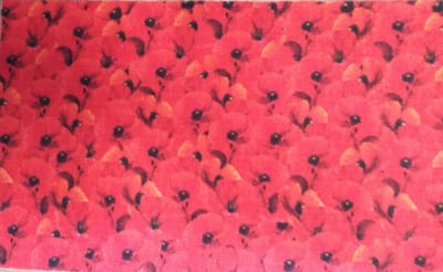 FOTAPIJT - Badmat - Bedrukte deurmat - Binnen - Termo Antislip - 50x80 cm - 6 mm - Wasbaar - Polyamide