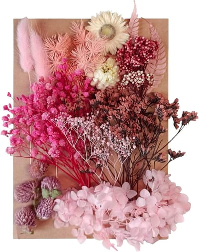 Gedroogde bloemen - bladeren - geperste gedroogde bloemen - gemengd - meerdere natuurlijke decoratieve kunstbloemen - gedroogde bloemen voor knutselen - harstaarten - doe-het-zelf sieraden - nagelkunst - knutselmaterialen - creatieve decoratie