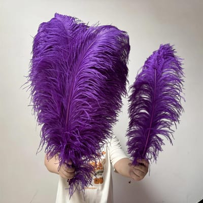 10 STUKS Licht Kaki Grote Struisvogelveren Bulk 15-60CM Lang Natuurlijke Pluizige Struisvogelveren voor Bruiloft Restaurant Vaas Decoratie 15-20cm 6-8inch paars