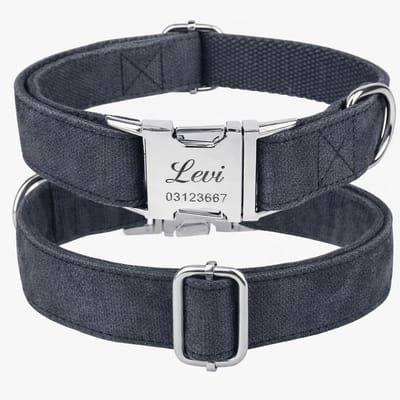 Honden Halsband Fluweel | Fluwelen Hondenhalsband | Velvet Elite Halsband | Halsband metalen sluiting graveren | Honden Halsband Grijs | Maat M | Petshop Seven