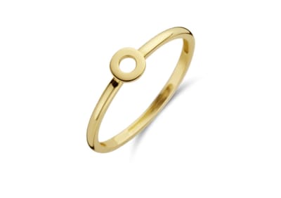 Blush Ring 1233YGO/54 14k Geelgoud met Cirkel Maat 54