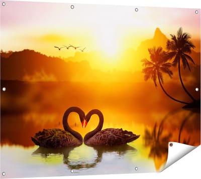 Gards Tuinposter Twee Zwarte Zwanen in een Hart Vorm - 120x90 cm - Tuindoek - Tuindecoratie - Wanddecoratie buiten - Tuinschilderij