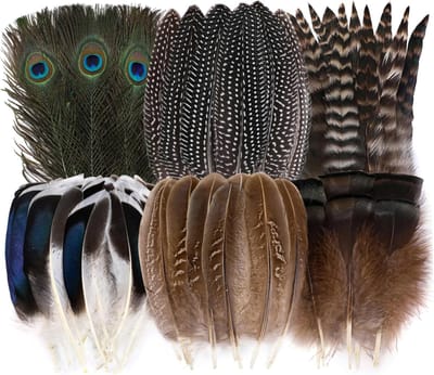 Daity Verpakking met 48 natuurlijke veren - 6 verschillende soorten - een mix van pauwen - fazanten- en kalkoenveren - geschikt voor knutselprojecten - sieraden - hoeden - bruiloften en feestdecoraties.