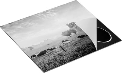 Chefcare Inductie Beschermer Koeien in de Wei tijdens Zonsopgang - Zwart Wit - 60x50 cm - Afdekplaat Inductie - Kookplaat Beschermer - Inductie Mat
