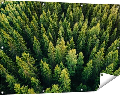 Gards Tuinposter Bos met Bomen vanaf Boven - 120x80 cm - Tuindoek - Tuindecoratie - Wanddecoratie buiten - Tuinschilderij