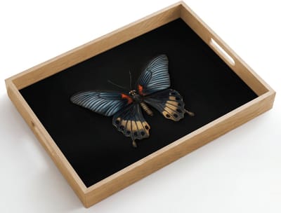 Dienblad hout 50x35 cm - Schootdienblad - Vlinder - Metaalachtig - Geometrisch patroon - Borrelplank rechthoek - Plateau dienbladen