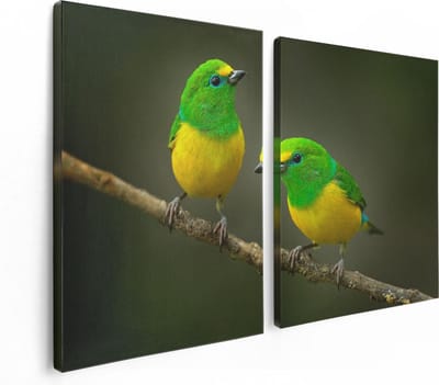 Artaza Canvas Schilderij Tweeluik Twee Groen Gele Zangvogels Op Een Tak - 120x80 - Foto Op Canvas - Canvas Print