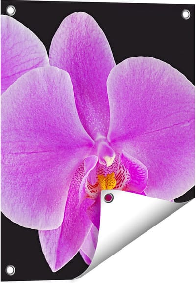 Gards Tuinposter Licht Paarse Orchidee - Bloem - 40x50 cm - Tuindoek - Tuindecoratie - Wanddecoratie buiten - Tuinschilderij