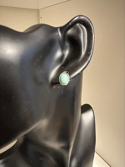 Ovale blauwe oorknopjes | Make up | Parfum | Moederdag | Verjaardagscadeau| Cadeautje| Valentijnsdag| Kado | sieraden | vaderdag | oorbellen | oorsieraden