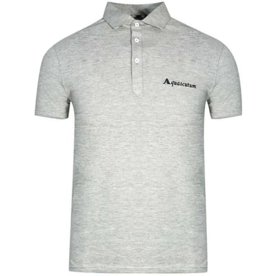 Aquascutum Unisex Volwassen Handtekening Logo Polo Shirt (Grijs)