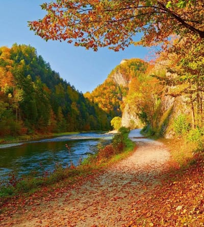 Fotobehang - Dunajec River 225x250cm - Vliesbehang