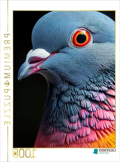 Legpuzzel Duif - Fotopuzzel Hobby - Ontspannend Tijdverdrijf - Premium Kwaliteit Karton - 1000 Stukjes 48x64cm - Meerkleurig