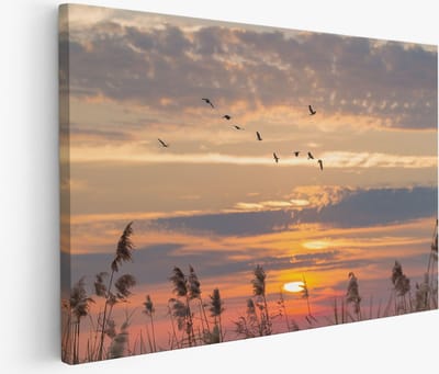 Saammp Muurcirkel Hout - Olifant in de Serangeti in de zonsondergang- Natuur - Dieren - Ø 90 - Wandcirkel - Wanddecoratie Cirkel - Muurdecoratie Woonkamer - Slaapkamer decoratie - Rond Schilderij